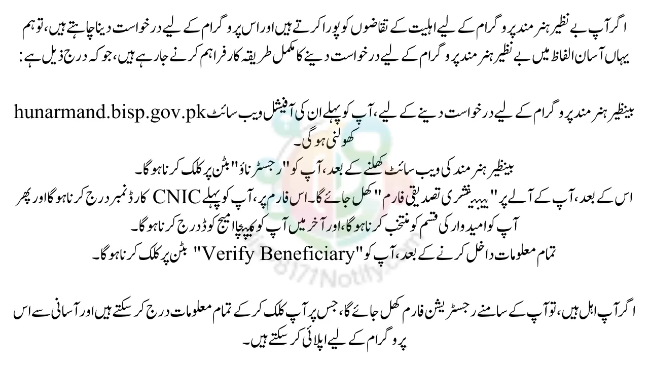 How to Apply Online for Benazir Hunarmand Program 2025