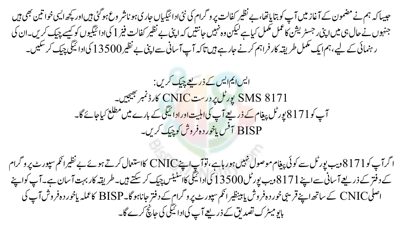 How to Check Benazir Kafalat 13500 September Payment by CNIC 2025