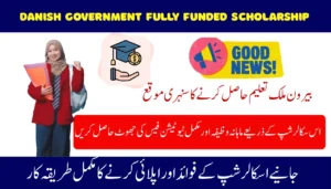 Danish Government Fully Funded Scholarship Announce 2026